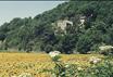 offerte speciali: Agriturismo Ca' de Carlicchi