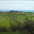 Agriturismo Lu Feschiuole