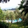 Agriturismo Bellavista