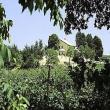 Agriturismo Calderino