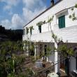 Agriturismo Colletta dal terazzo