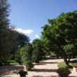 Agriturismo Demetra