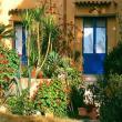 Agriturismo Duca di Castelmonte