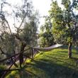 Agriturismo I Greppi di Silli