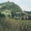 Agriturismo Il Cavicchio