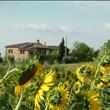 Agriturismo Casa dei Girasoli