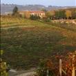 La Posizione sui vigneti