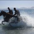 escursioni in spiaggia 