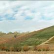 panoramica valdonata