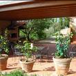 il forno ed il barbecue