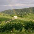 Agriturismo I Piai di Rolle