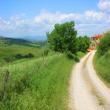 Agriturismo La Banditella
