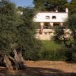 Agriturismo La Chiusa delle More - Peschici