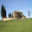 Agriturismo Le Vignacce