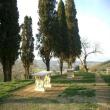 Agriturismo Le Vignacce