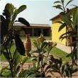 Casa Vacanze Podere Tre Cipressi