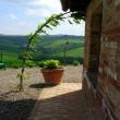 Agriturismo San Lorenzo