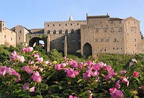 Besuchen Viterbo